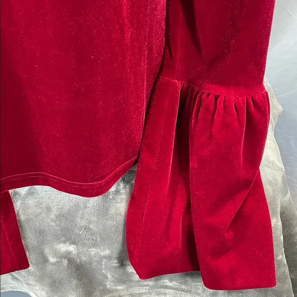 Torn by Ronny Kobo Crimson Velvet Blouse - Picture 4 of 13